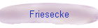 Friesecke